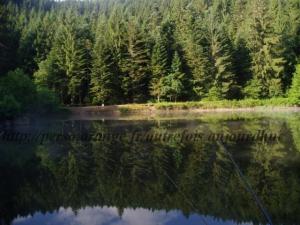 Etang du frac (Fresse sur Moselle)